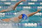 Swimming & Diving vs Babson  Swimming & Diving vs Babson College. - Photo by Keith Nordstrom : Wheaton, Swimming